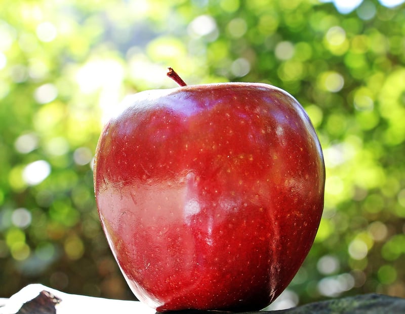 Healthy Eating Image